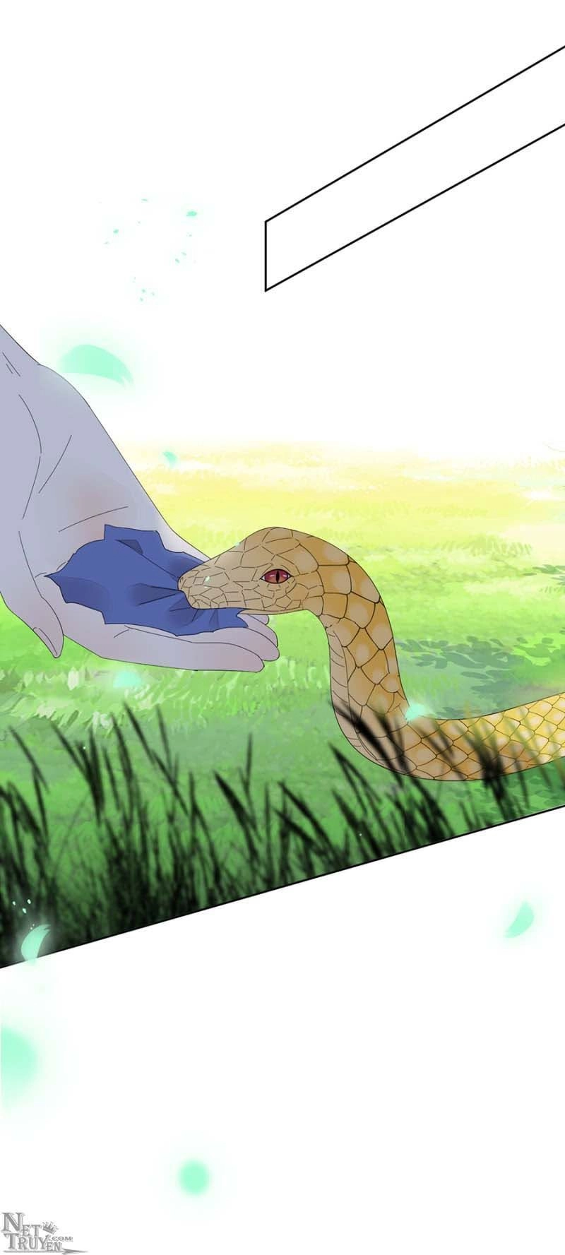 Dục Hỏa Độc Phi Chapter 104 - 18