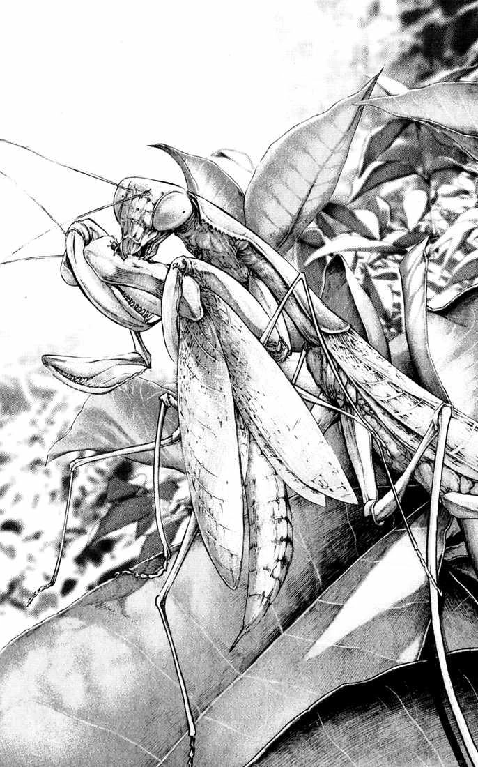 Kokou No Hito Chapter 51 - 6