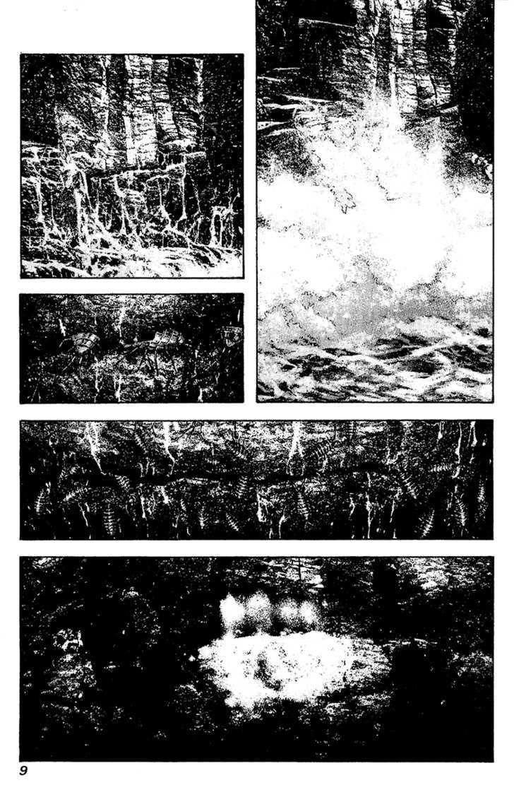 Kokou No Hito Chapter 103 - 13