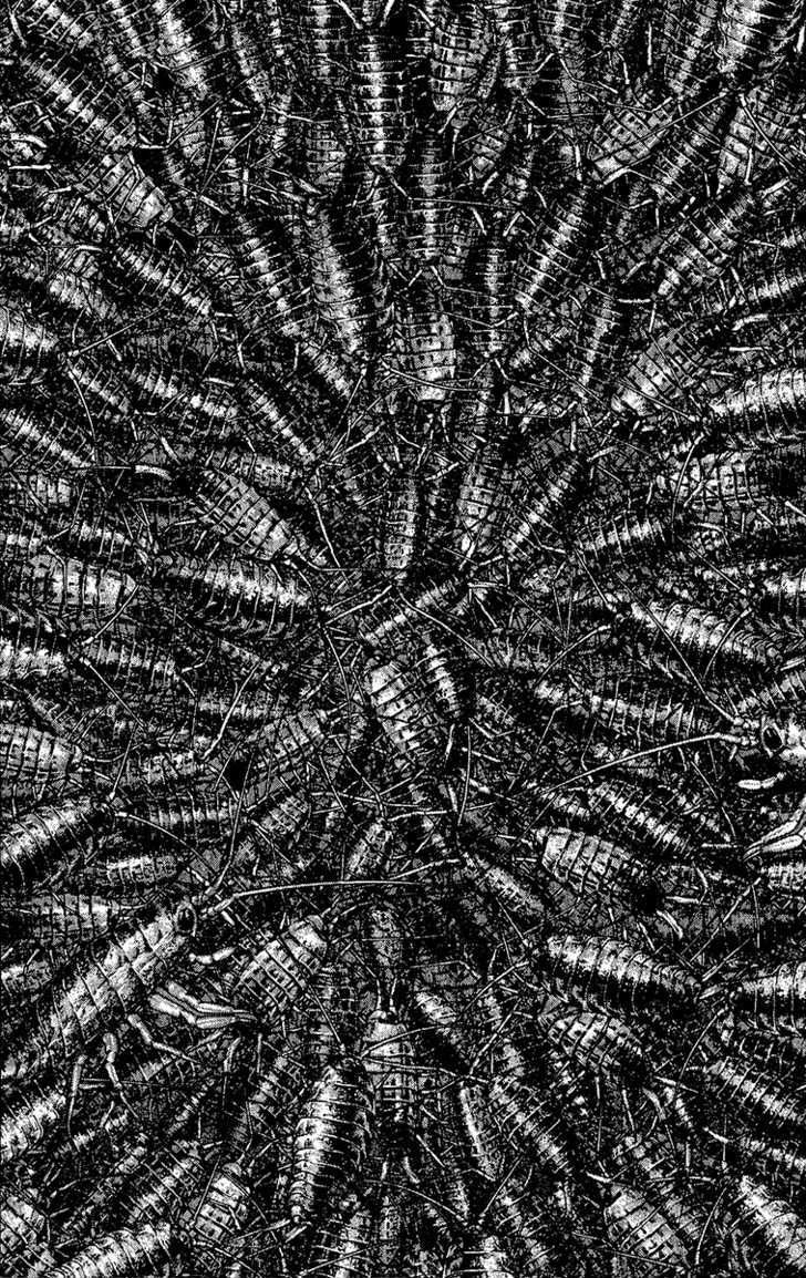 Kokou No Hito Chapter 103 - 19