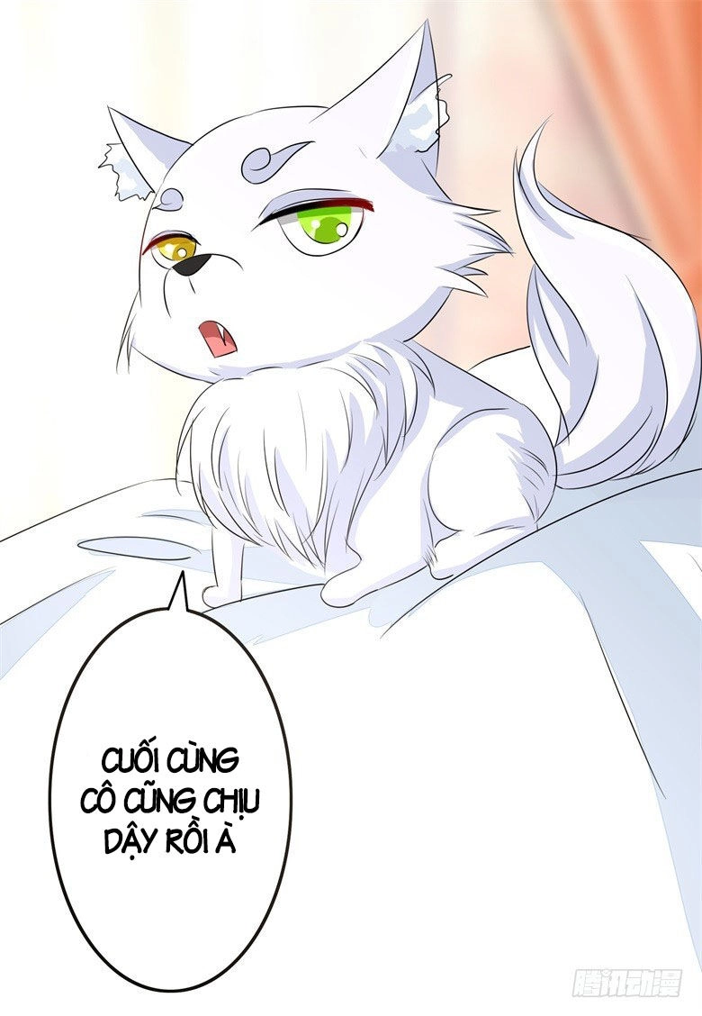 Dân Quốc Yêu Văn Lục Chapter 64 - 7