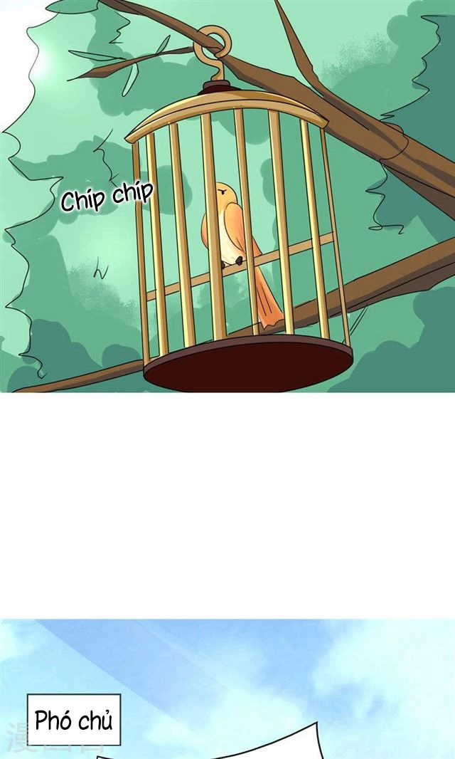 Dân Quốc Yêu Văn Lục Chapter 86 - 13