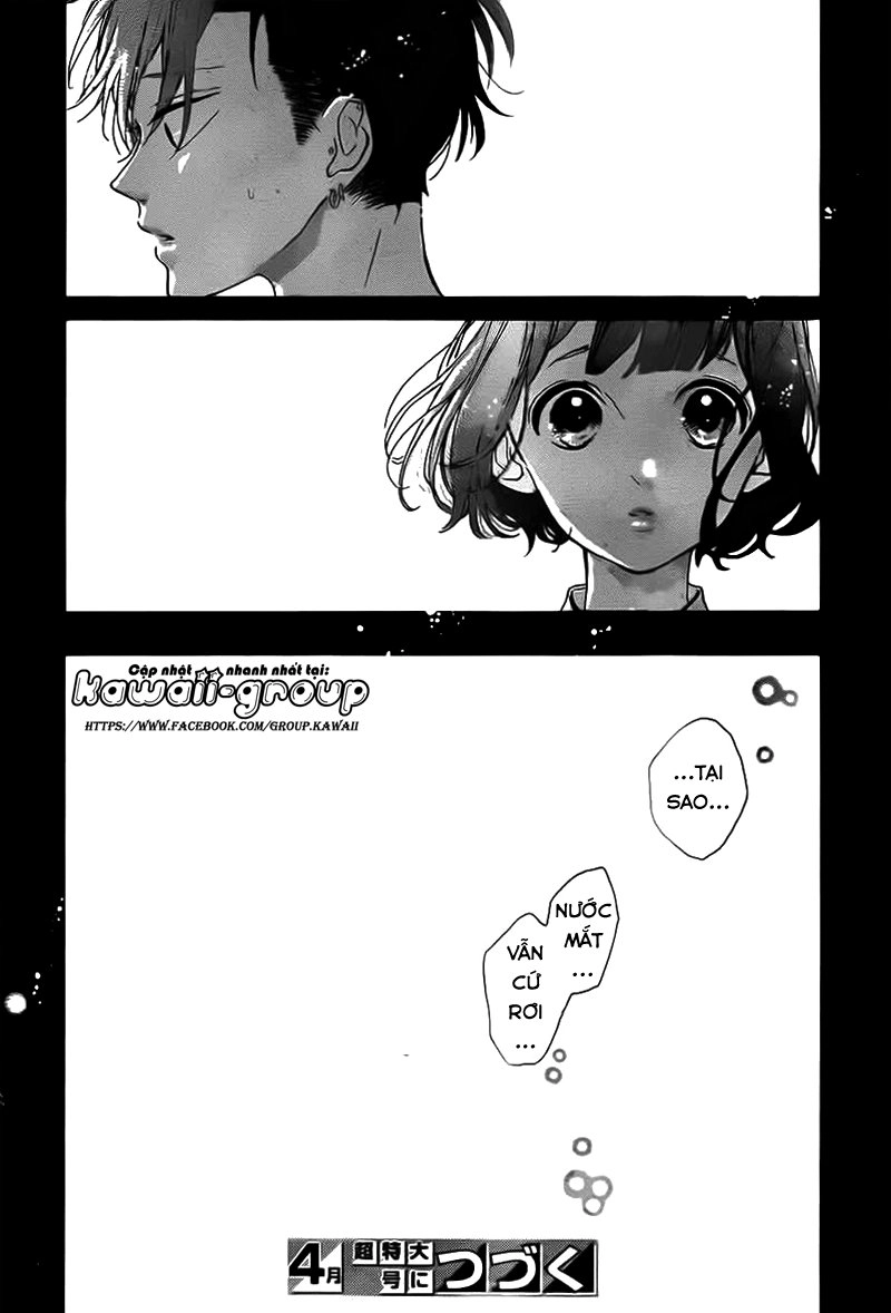 Honey Chapter 31 - 39