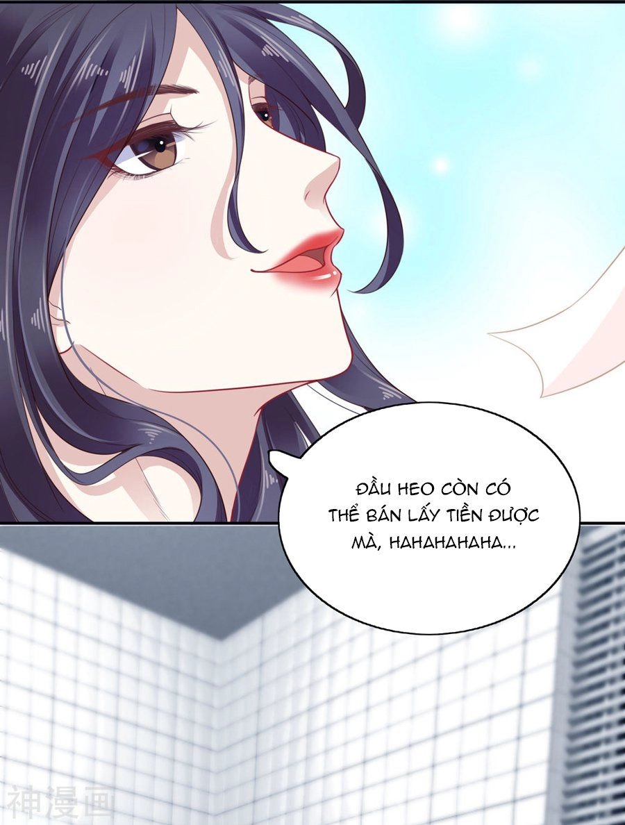 Phú Bà Bạc Tỷ Trong Lãnh Cung Chapter 1 - 15