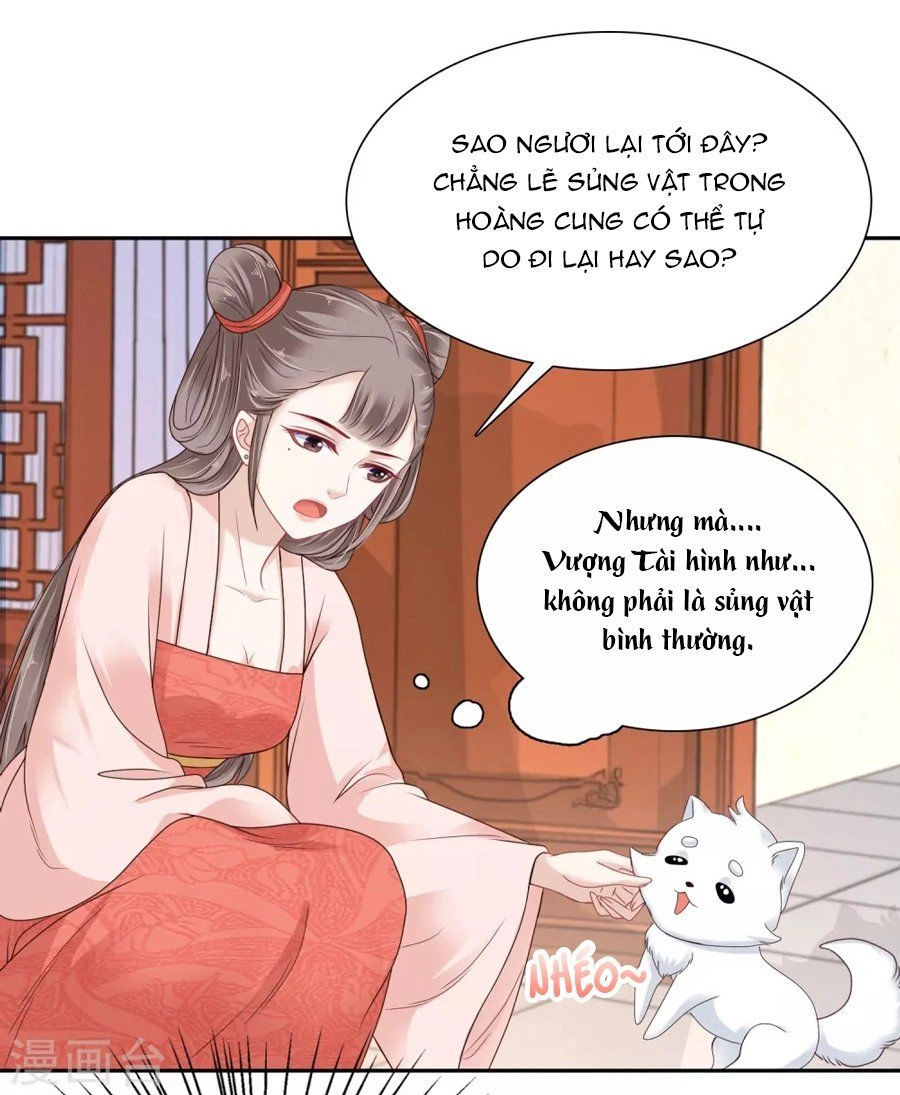 Phú Bà Bạc Tỷ Trong Lãnh Cung Chapter 11 - 7