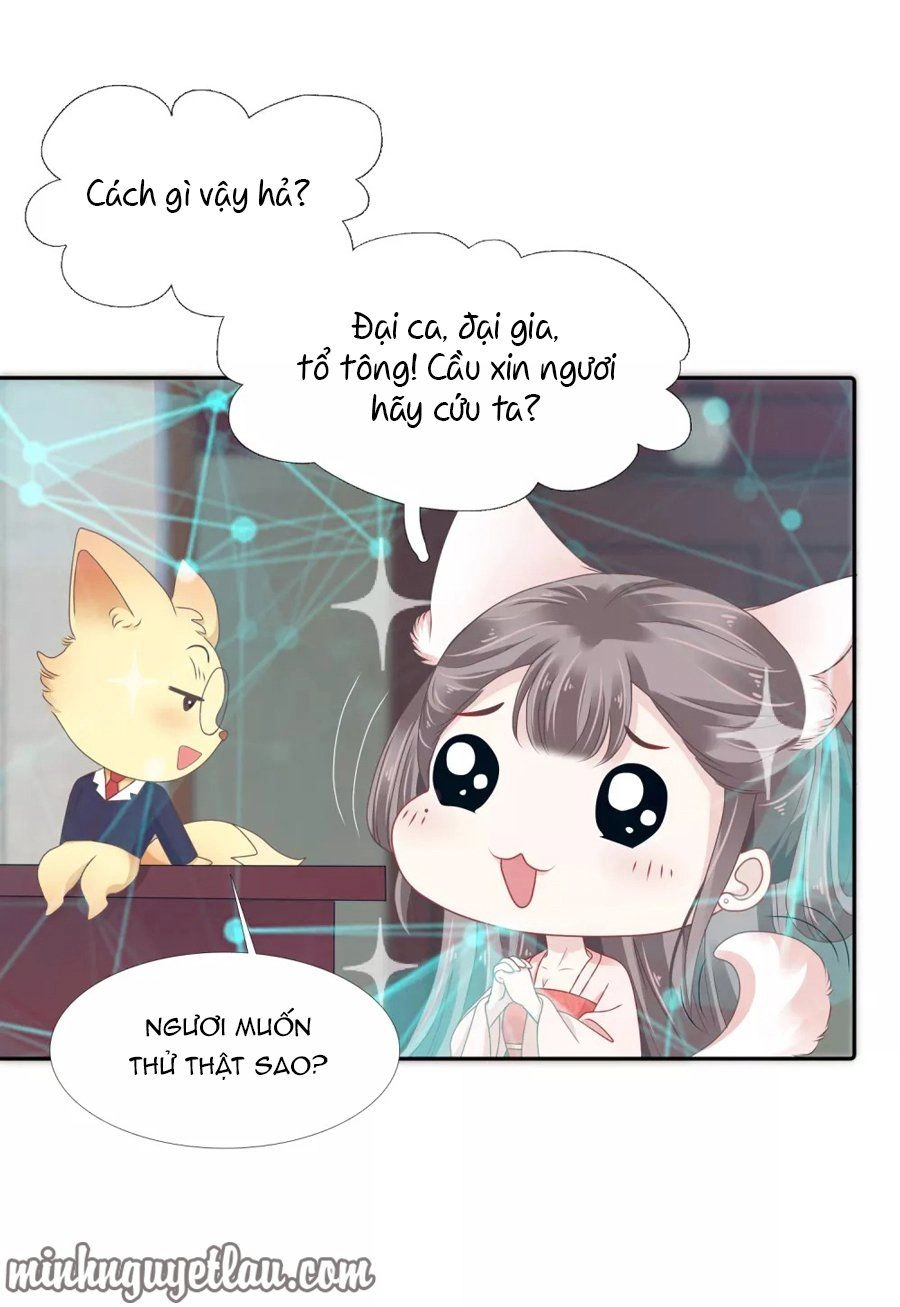 Phú Bà Bạc Tỷ Trong Lãnh Cung Chapter 12 - 7