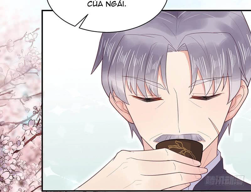 Thịnh Thế Điềm Sủng: Tiểu Manh Thê Của Dịch Thiếu Chapter 15.5 - 12