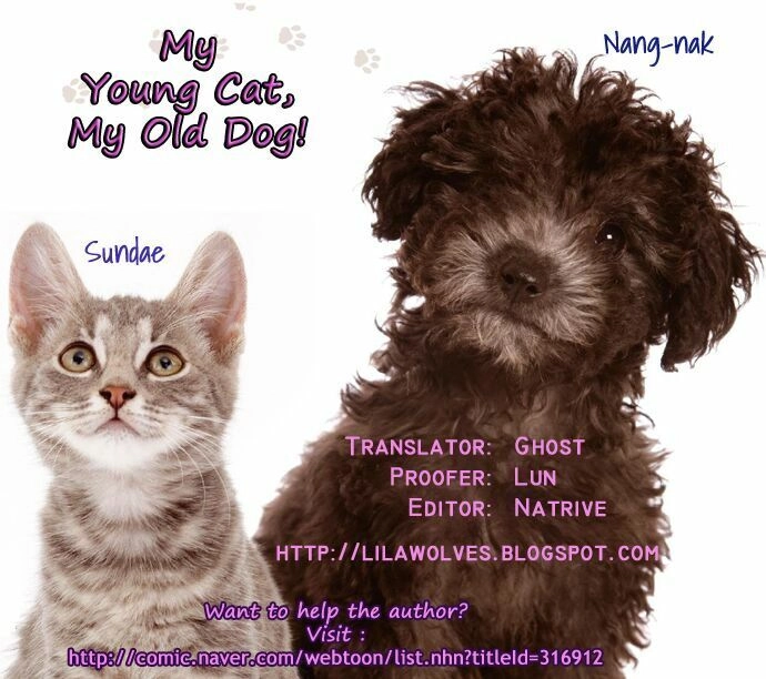 My Young Cat And My Old Dog Chapter 22 - 7