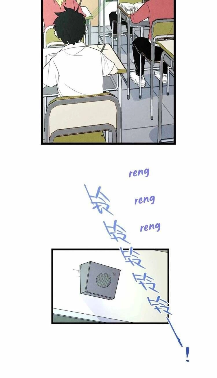 Tu Chân Cuồng Thiếu Tại Vườn Trường Chapter 27 - 16