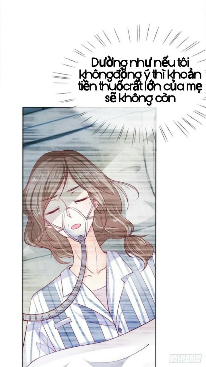 Từ Chối Kết Hôn Với Đại Gia: Cô Dâu Bỏ Trốn Chapter 1 - 5