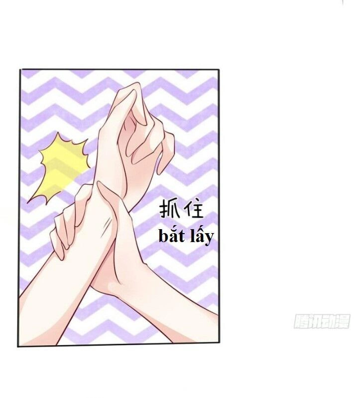 Từ Chối Kết Hôn Với Đại Gia: Cô Dâu Bỏ Trốn Chapter 6 - 15