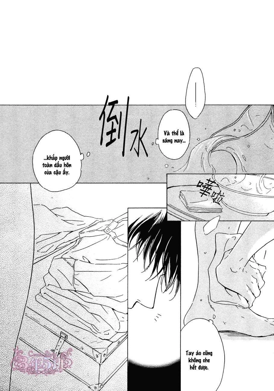 Bình Minh U Sầu Chapter 33 - 46