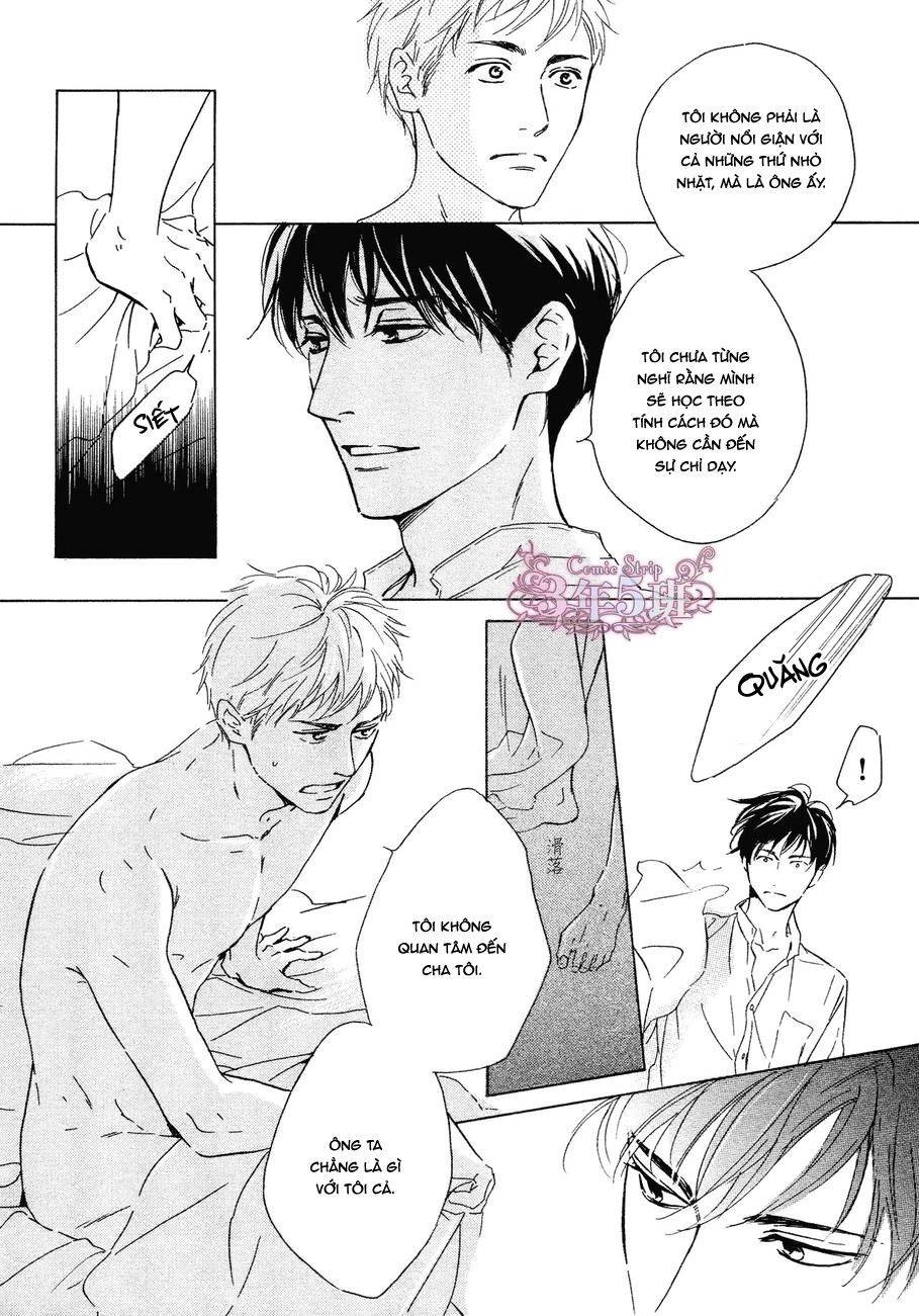 Bình Minh U Sầu Chapter 33 - 50