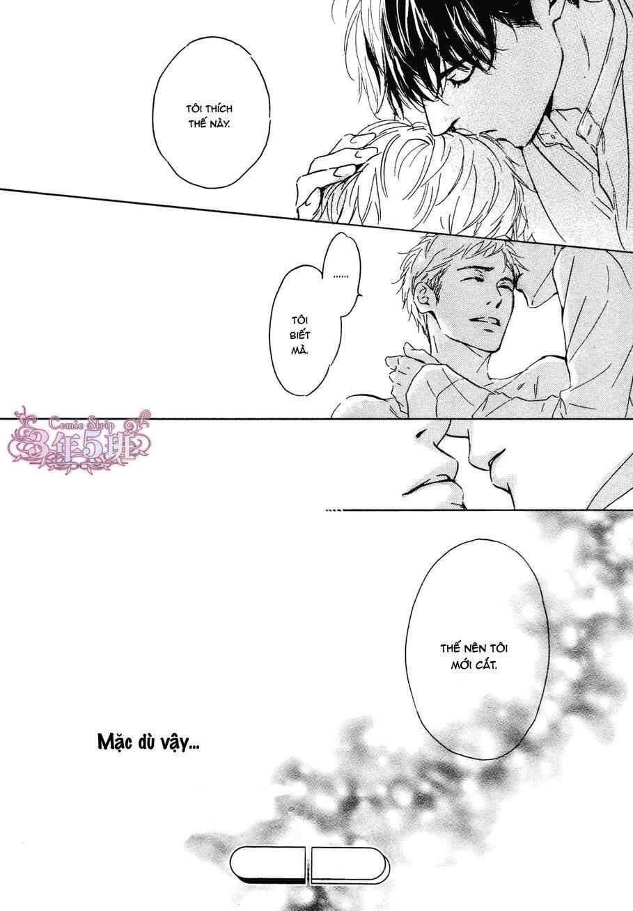 Bình Minh U Sầu Chapter 33 - 54