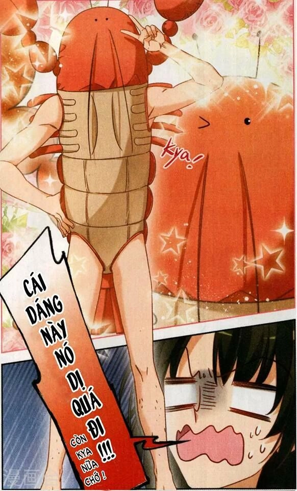 Bạn Trai Gối Ôm Chapter 1.1 - 11