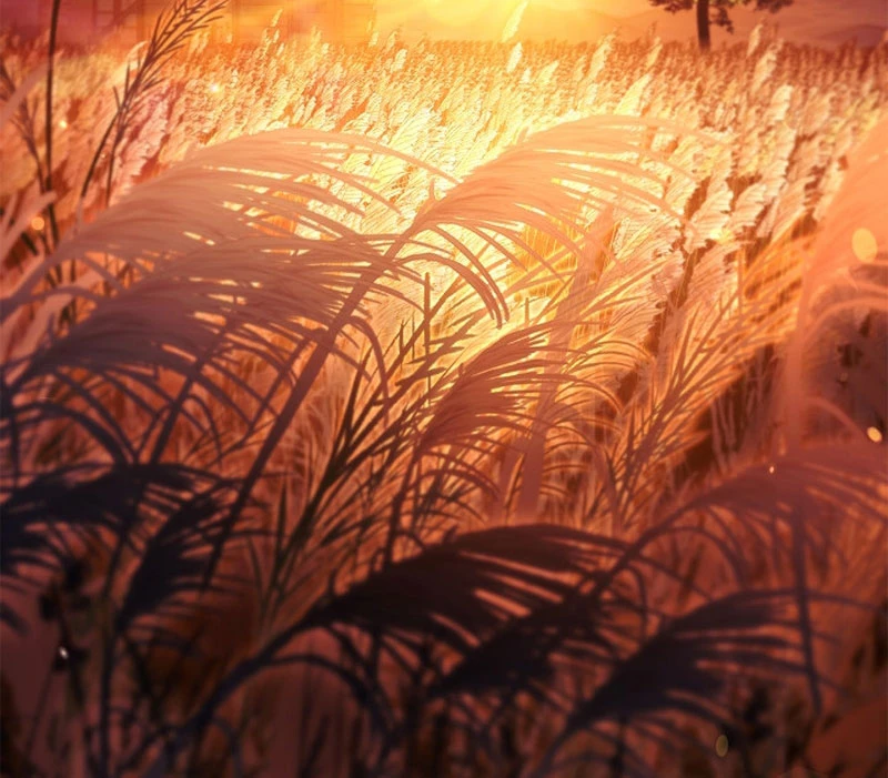 Kí Sự Hồi Quy Chapter 168 - 144