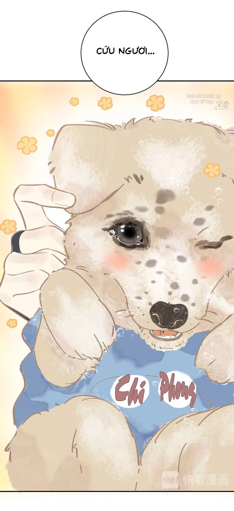 Mãn Đình Phương - Thiên Hạ Duy Khanh Chapter 4 - 47