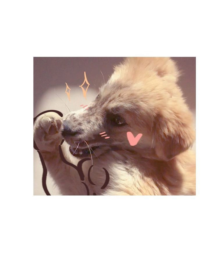 Mãn Đình Phương - Thiên Hạ Duy Khanh Chapter 4 - 57