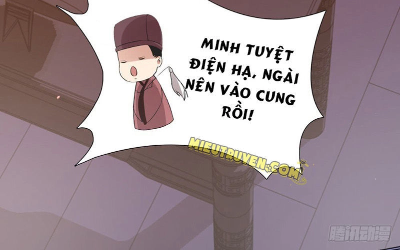 Tận Diệt Vương Gia Mãn Triều Chapter 138 - 11