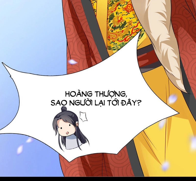 Tận Diệt Vương Gia Mãn Triều Chapter 138 - 17