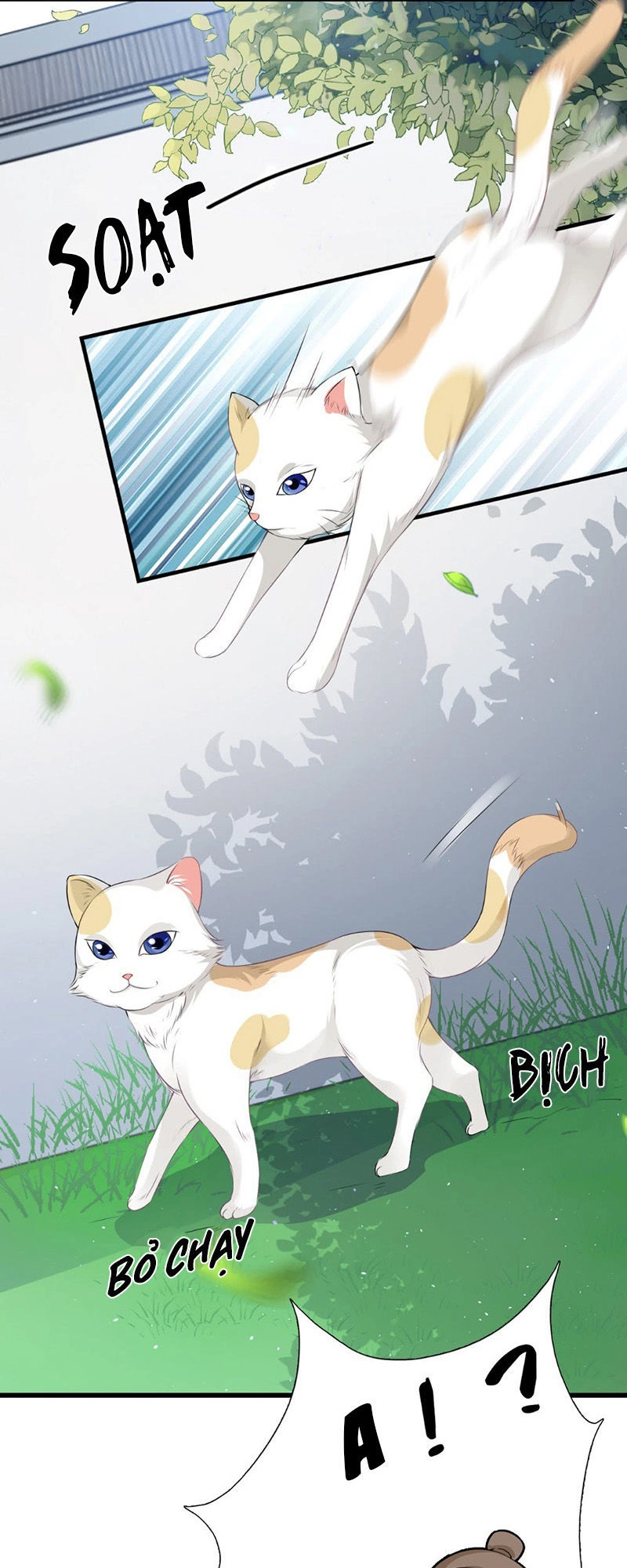 Tận Diệt Vương Gia Mãn Triều Chapter 139 - 8