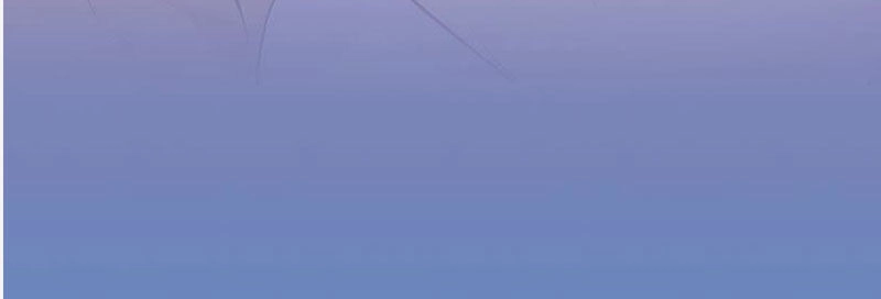 Tận Diệt Vương Gia Mãn Triều Chapter 154 - 31