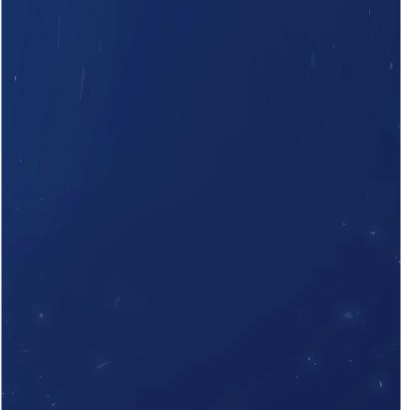 Tận Diệt Vương Gia Mãn Triều Chapter 156 - 13