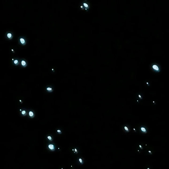 Thế Giới Sau Tận Thế Chapter 234 - 177