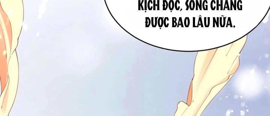 Thịnh Thế Lê Hoa Điện Chapter 8 - 17