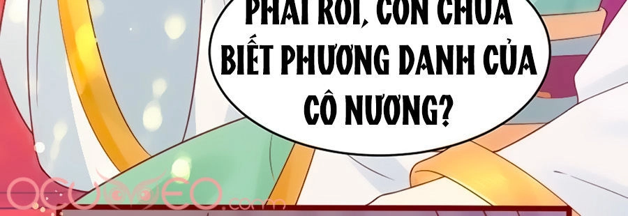 Thịnh Thế Lê Hoa Điện Chapter 21 - 36