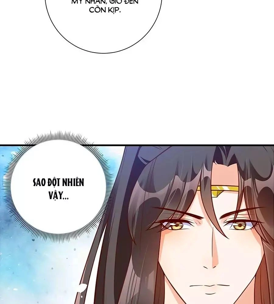 Thịnh Thế Lê Hoa Điện Chapter 78 - 71