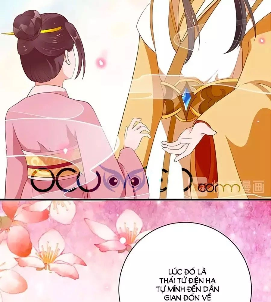 Thịnh Thế Lê Hoa Điện Chapter 85 - 4
