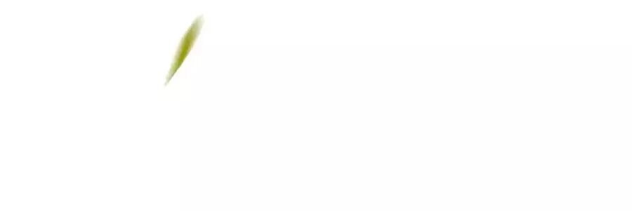 Thịnh Thế Lê Hoa Điện Chapter 94 - 61