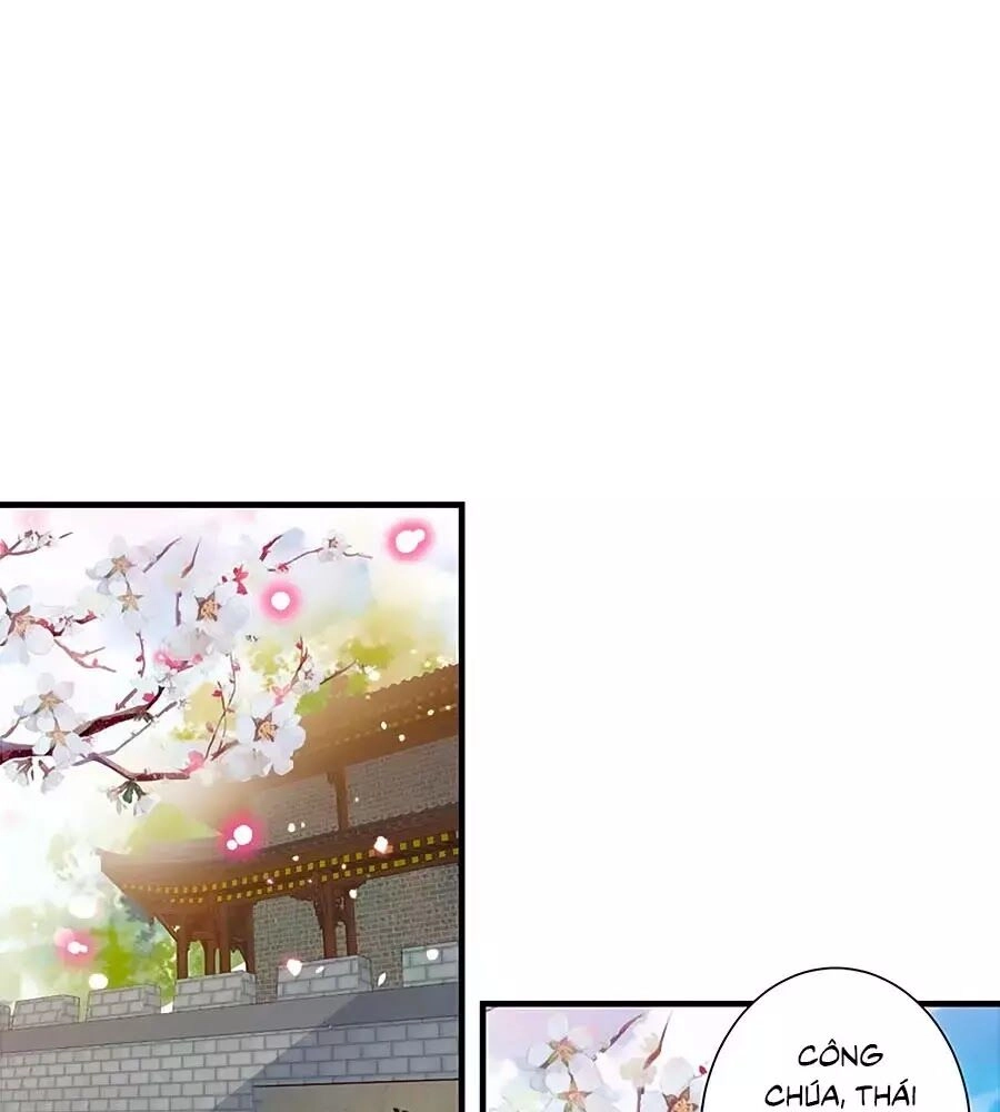 Thịnh Thế Lê Hoa Điện Chapter 95 - 1