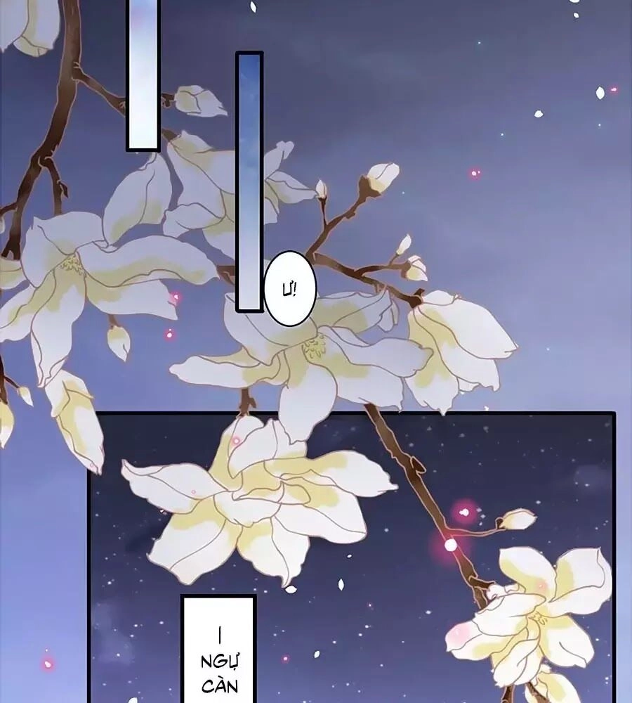 Thịnh Thế Lê Hoa Điện Chapter 96 - 47