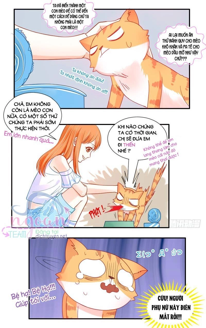 Ma Vương Đại Nhân Đi Thông Thả Chapter 52 - 16