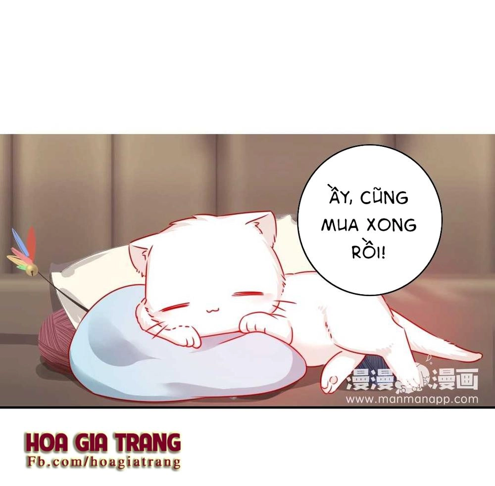 Phục Thù Thiếu Gia Tiểu Điềm Thê Chapter 15 - 2