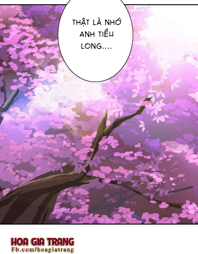 Phục Thù Thiếu Gia Tiểu Điềm Thê Chapter 19 - 24