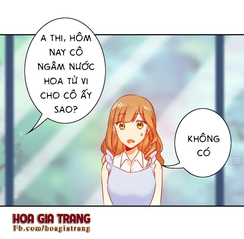 Phục Thù Thiếu Gia Tiểu Điềm Thê Chapter 19 - 29
