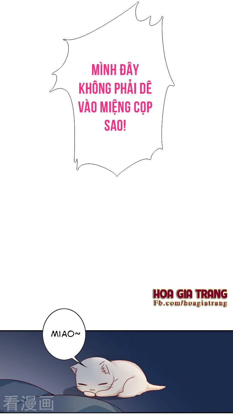 Phục Thù Thiếu Gia Tiểu Điềm Thê Chapter 20 - 12