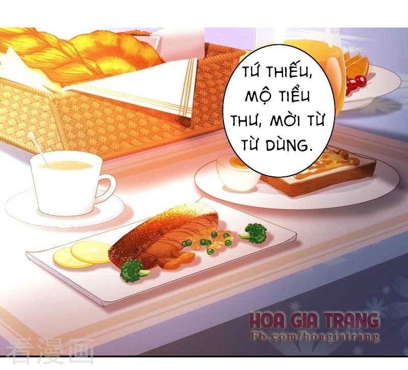 Phục Thù Thiếu Gia Tiểu Điềm Thê Chapter 21 - 2