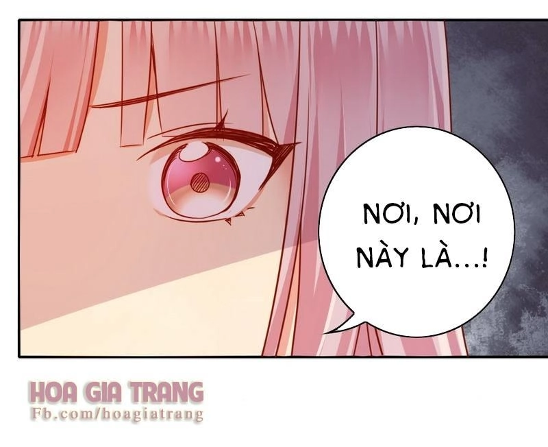 Phục Thù Thiếu Gia Tiểu Điềm Thê Chapter 24 - 15