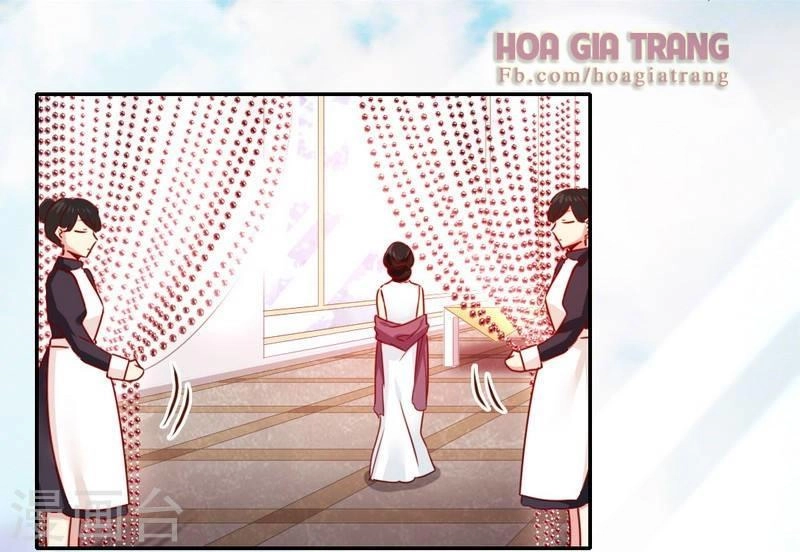 Phục Thù Thiếu Gia Tiểu Điềm Thê Chapter 31 - 31
