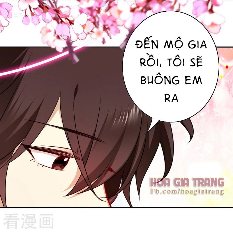 Phục Thù Thiếu Gia Tiểu Điềm Thê Chapter 36 - 34