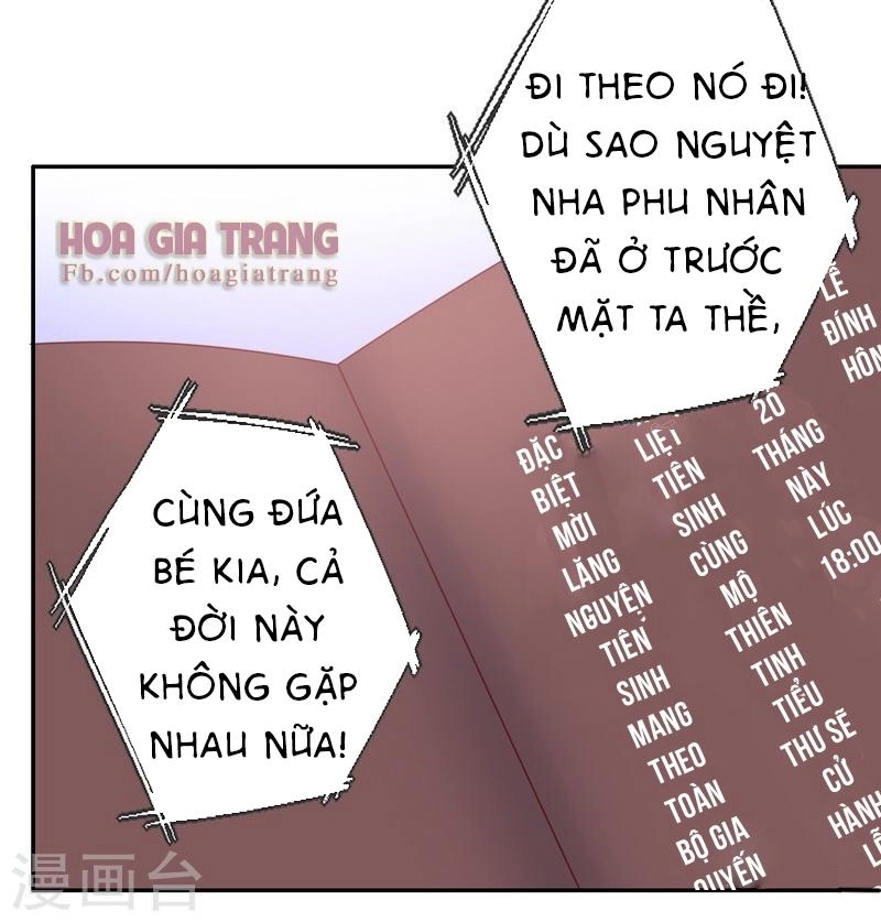 Phục Thù Thiếu Gia Tiểu Điềm Thê Chapter 44 - 12