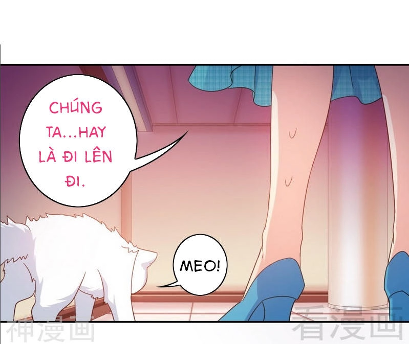 Phục Thù Thiếu Gia Tiểu Điềm Thê Chapter 58 - 18