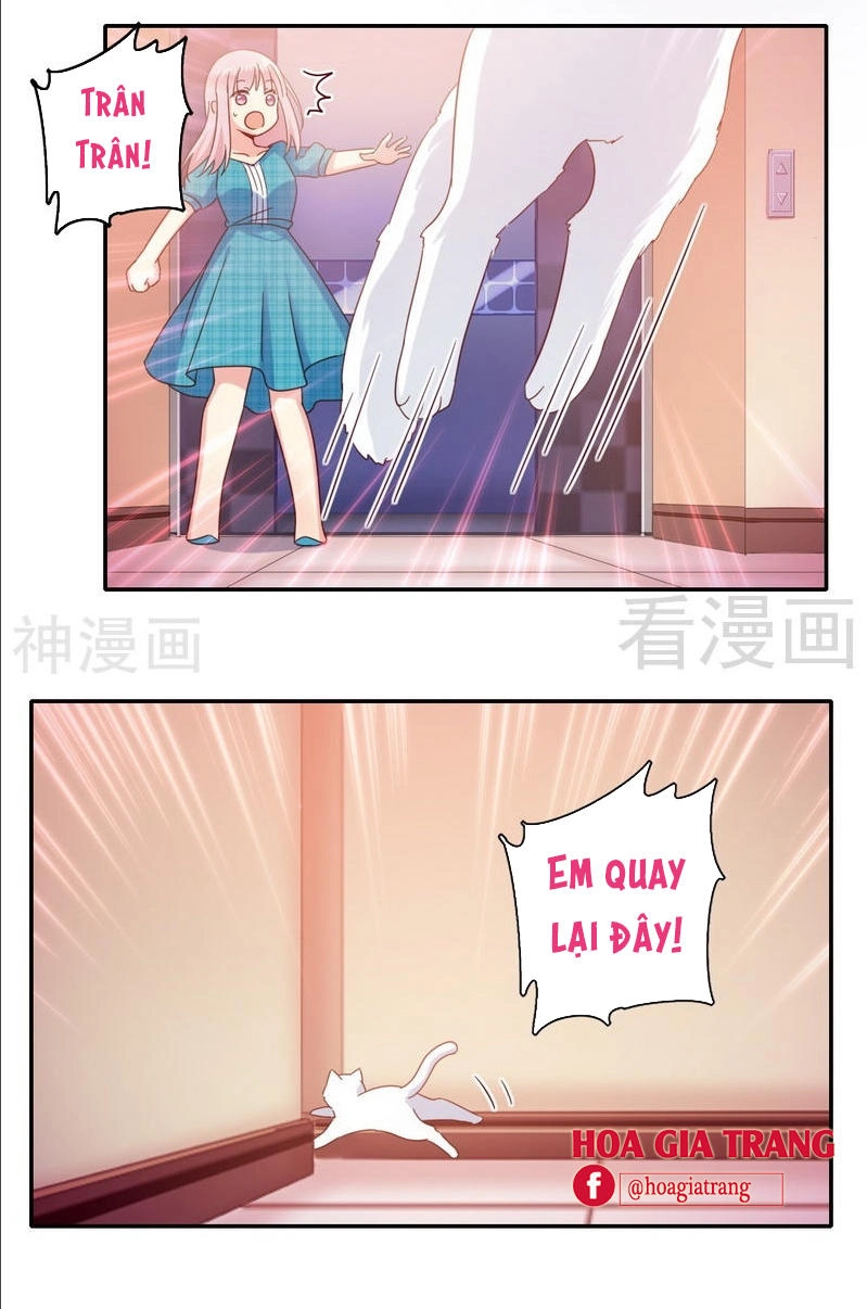 Phục Thù Thiếu Gia Tiểu Điềm Thê Chapter 58 - 19