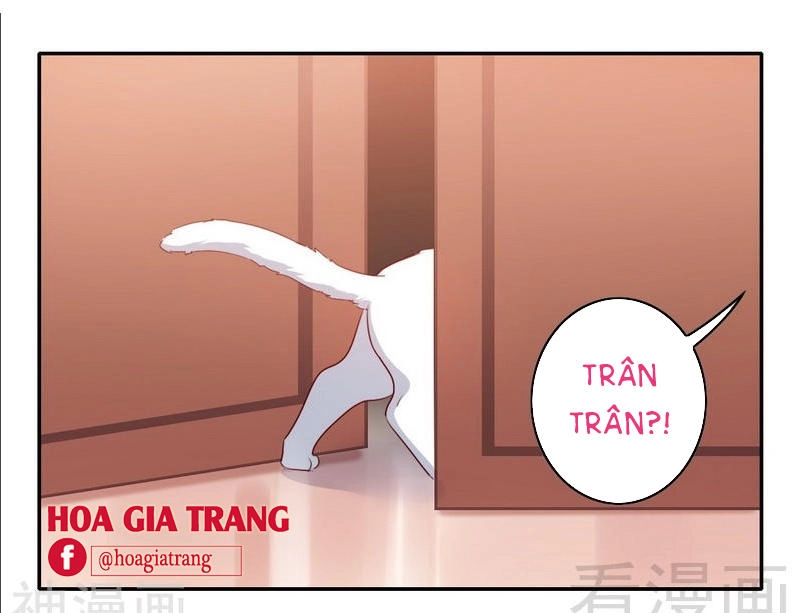 Phục Thù Thiếu Gia Tiểu Điềm Thê Chapter 58 - 22