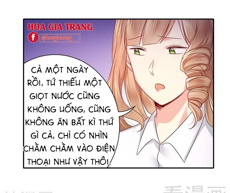Phục Thù Thiếu Gia Tiểu Điềm Thê Chapter 71 - 28