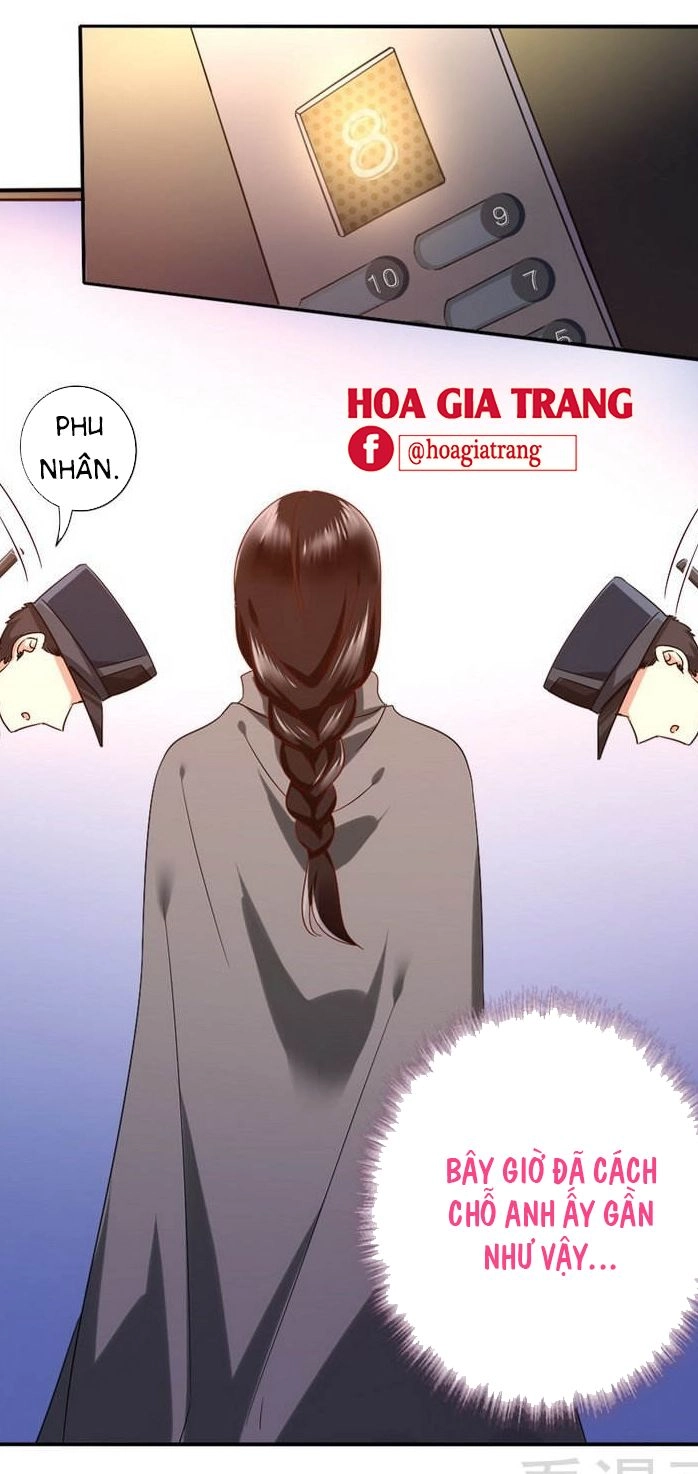 Phục Thù Thiếu Gia Tiểu Điềm Thê Chapter 73 - 23